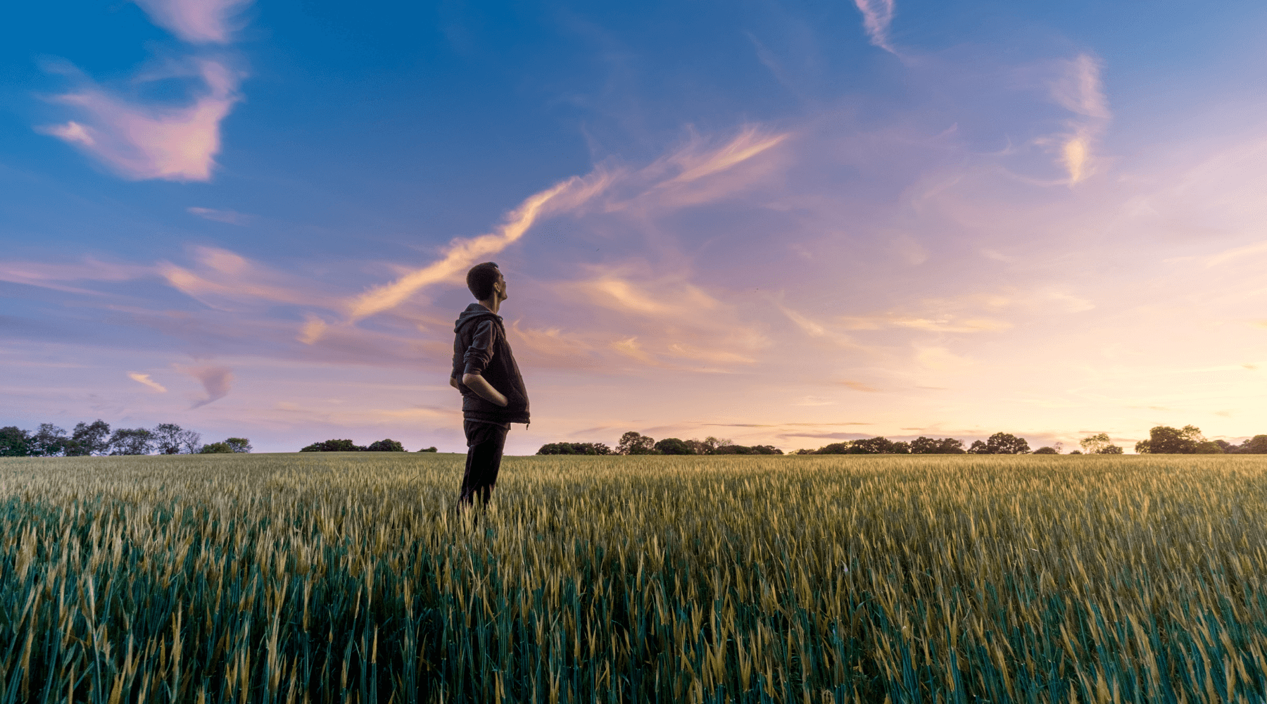 How we’ve grown, and the future of Patchworks