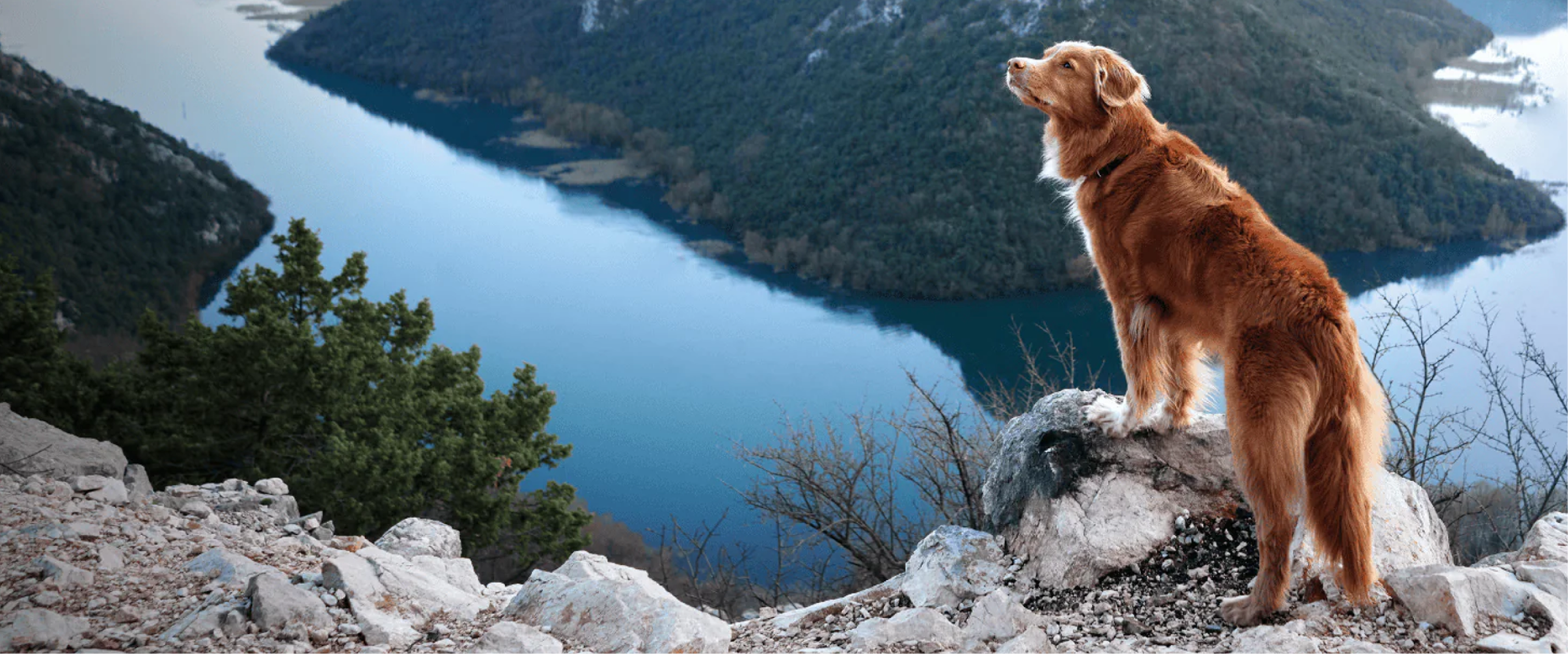 Where Nutrition Meets Innovation: Natural Instinct’s Growth with Shopify to Sage Integration